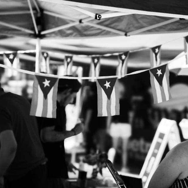 isla flags bw